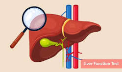 Liver Package Profile